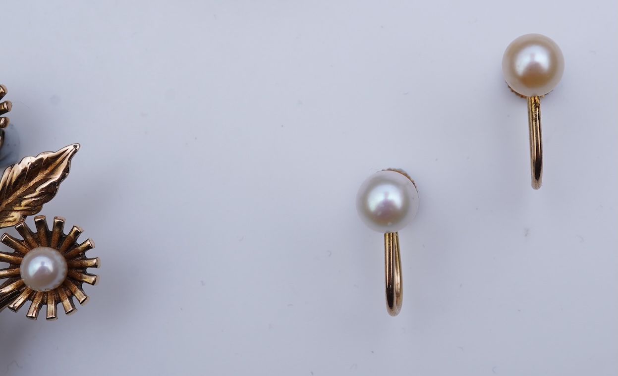 A collection of jewels